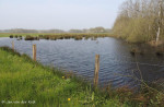 Zunasche heide